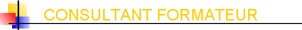 CONSULTANT FORMATEUR